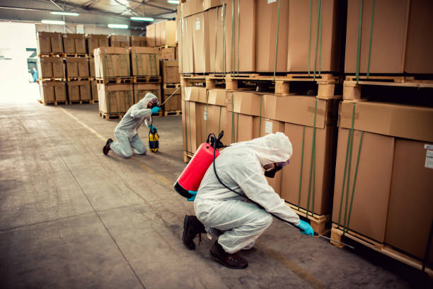 Best Wasp Removal Services  in Fairview Heights, IL