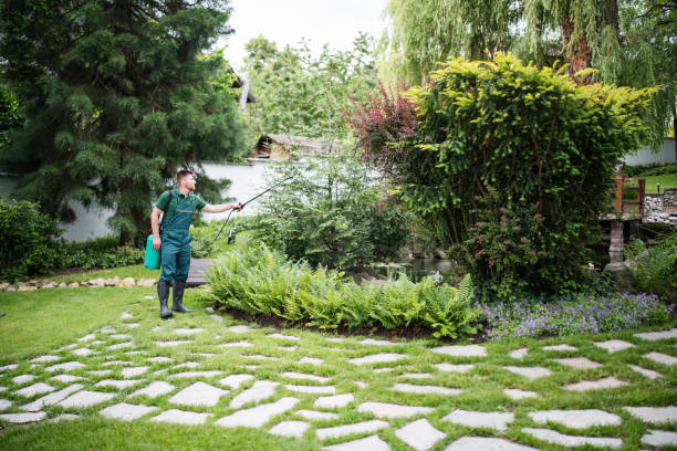 Pest Prevention Services in Fairview Heights, IL