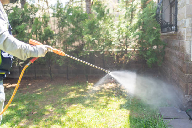 Best Wasp Removal Services  in Fairview Heights, IL
