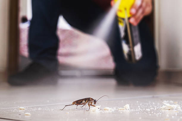 Best Cockroach Control Services  in Fairview Heights, IL