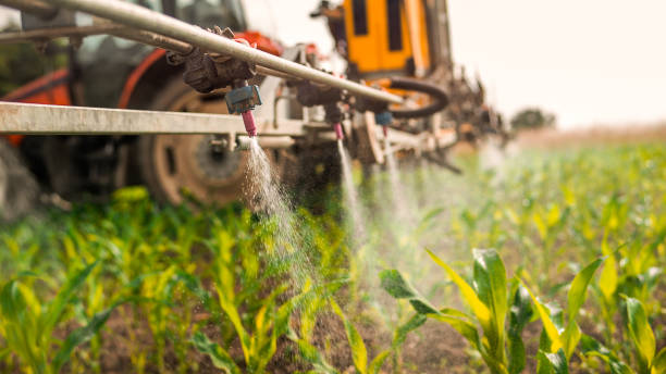Best Insect Control  in Fairview Heights, IL